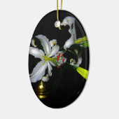 Iers ontwerp-messing en ventilatorontwerp keramisch ornament (Links)