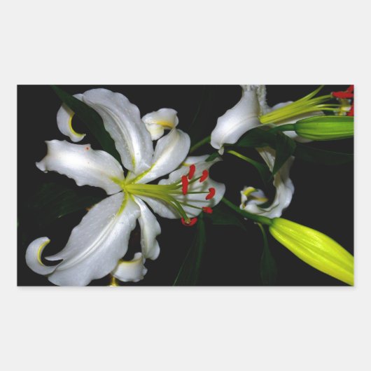 Iers ontwerp-messing en ventilatorontwerp rechthoekige sticker (Voorkant)