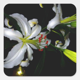 Iers ontwerp-messing en ventilatorontwerp vierkante sticker