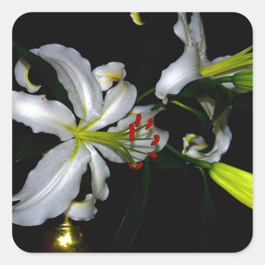 Iers ontwerp-messing en ventilatorontwerp vierkante sticker (Voorkant)