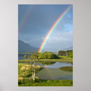 Iers regenboogPoster Poster