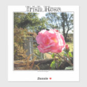 Iers Roos Sticker (Vel)