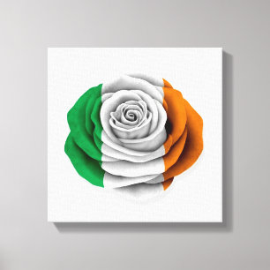 Iers Roos Vlag op wit Canvas Afdruk