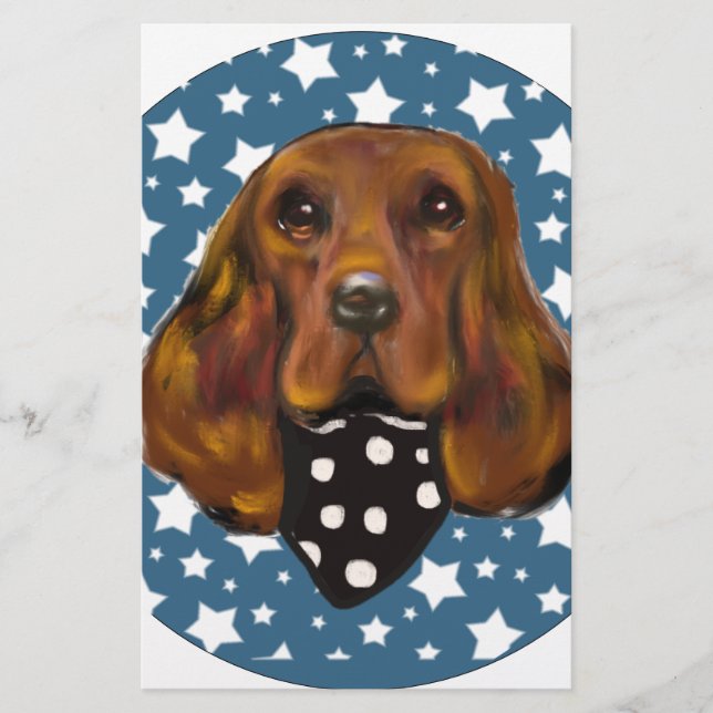 IERS SETTER (Voorkant)