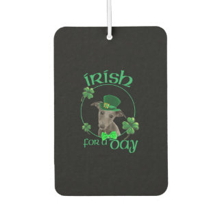 Iers voor een dag met een luie hond op Patrick Day Luchtverfrisser