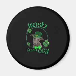Iers voor een dag met een luie hond op Patrick Day Magneet