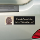 Iers waterspaniel schilderen - Oorspronkelijke hon Bumpersticker (Op auto)