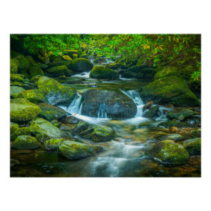Ierse bosstroom - Emerald Woodland Fotoafdruk Perfect Poster