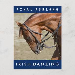 Ierse Danzing - Oklahoma Training Track Briefkaart