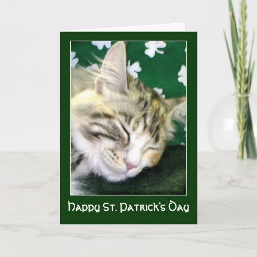 Ierse kat droomt van St. Patrick's Day Kaart (Voorkant)