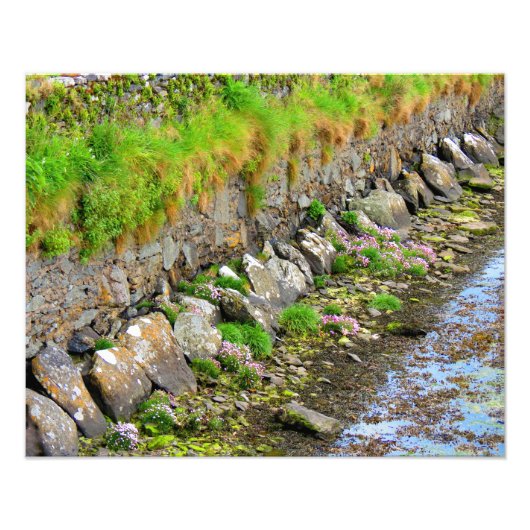 Ierse lente #1 foto afdruk (Voorkant)