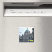 ierse magneten (Insitu (Vaatwasser))