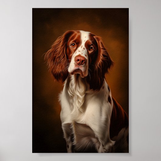 Ierse rode en witte setter poster (Voorkant)