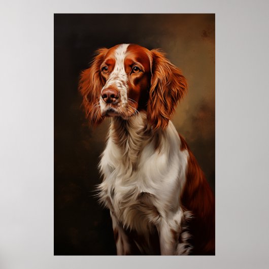 Ierse rode en witte setter poster (Voorkant)
