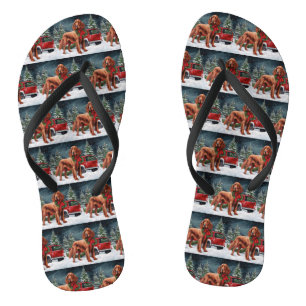 Ierse rode setter hond in sneeuw Kerstmis Teenslippers