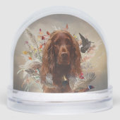 Ierse Rode Setter, Ierse Setter Sneeuwbol (Voorkant)