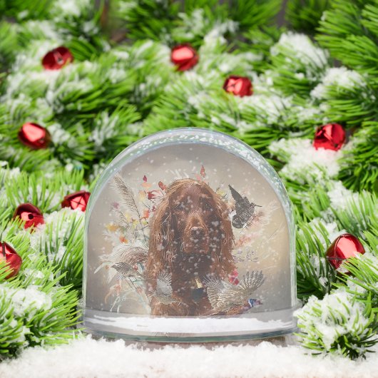 Ierse Rode Setter, Ierse Setter Sneeuwbol (Kerstmis)