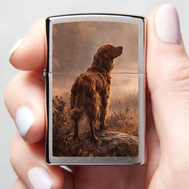 Ierse Setter (In Hand)