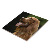 Ierse Setter 2 Tegeltje (Zijkant)