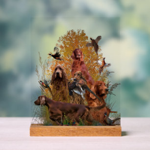 Ierse Setter Acryl Bord