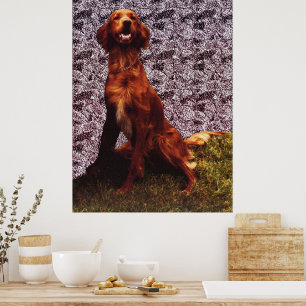 Ierse Setter en gepatroneerde betonnen muurposter Poster
