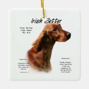 Ierse Setter Geschiedenis Ontwerp Keramisch Ornament