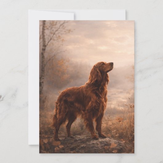 Ierse Setter Kaart (Voorkant)
