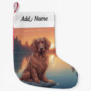 Ierse Setter Kleine Kerstsok