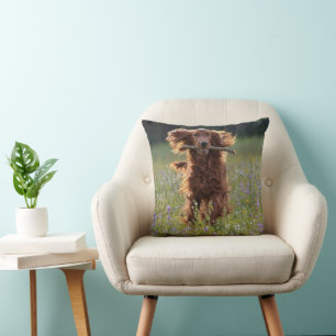 Ierse Setter Rent met een Stok Kussen