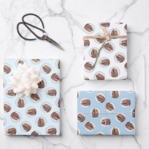 Ierse Setter Schilderij Rood Schattige Originele H Inpakpapier Vel