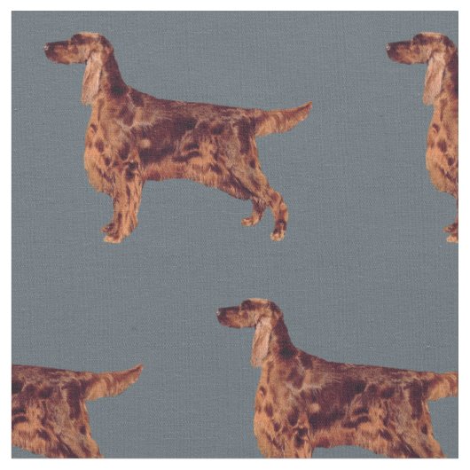 Ierse setter stof (Close Up)