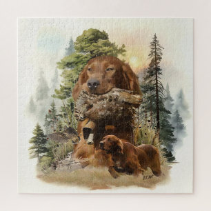 Ierse Setter, Woodcock jagen, Art Legpuzzel