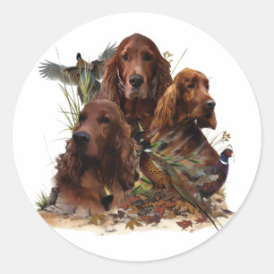 Ierse setters met fazanten - Passie jacht Ronde Sticker