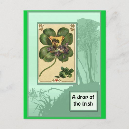 Ierse shamrocks briefkaart (Voorkant)