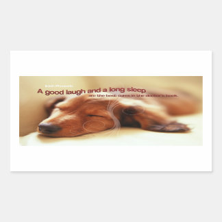 Ierse spreuk en slapende hond rechthoekige sticker