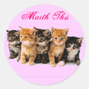 Ierse Taalbonstickers Ronde Sticker