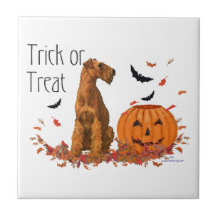 Ierse Terrier Halloween Tegeltje