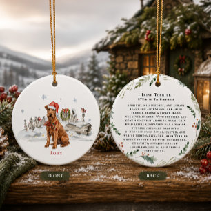 Ierse Terrierhond Monogram Keramisch Ornament