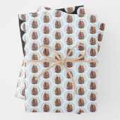 Ierse vereffeningskunst - Cute Original Dog Art Inpakpapier Vel (In situ)