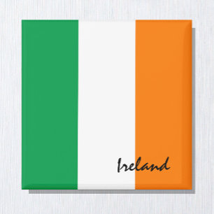 Ierse vlag en Ierland reizen, vakantie/sport Magneet