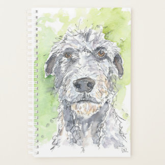 Ierse Wolfhound ontwerper. Planner