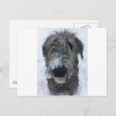 ierse wolfshond speelt in de sneeuw briefkaart (Voorkant / Achterkant)