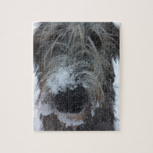 ierse wolfshond speelt in de sneeuw legpuzzel