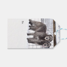 Ierse Wolfshonden in de sneeuw Cadeaulabel