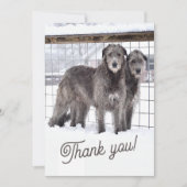 Ierse Wolfshonden in de sneeuw Kaart (Voorkant)