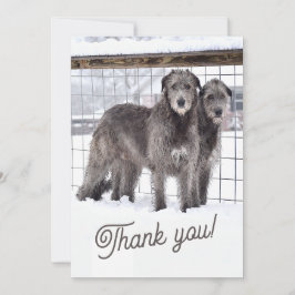 Ierse Wolfshonden in de sneeuw Kaart