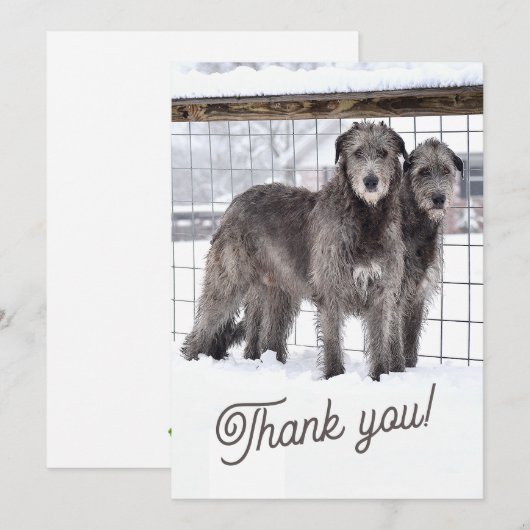 Ierse Wolfshonden in de sneeuw Kaart (Voorkant / Achterkant)