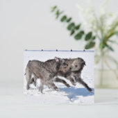 Ierse Wolfshonden rennen in de sneeuw Briefkaart (Staand voorkant)