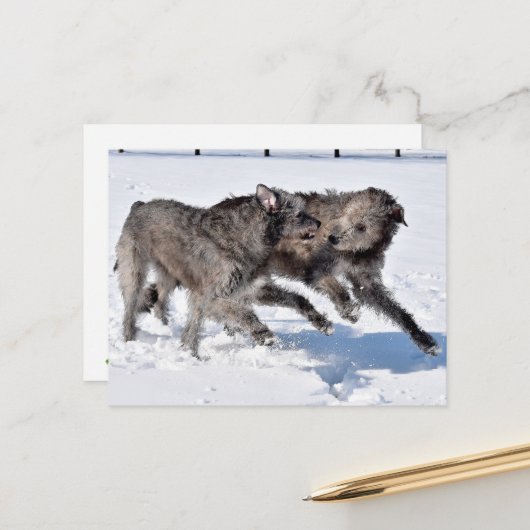 Ierse Wolfshonden rennen in de sneeuw Briefkaart (Voorkant / Achterkant in situ)
