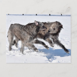 Ierse Wolfshonden rennen in de sneeuw Briefkaart